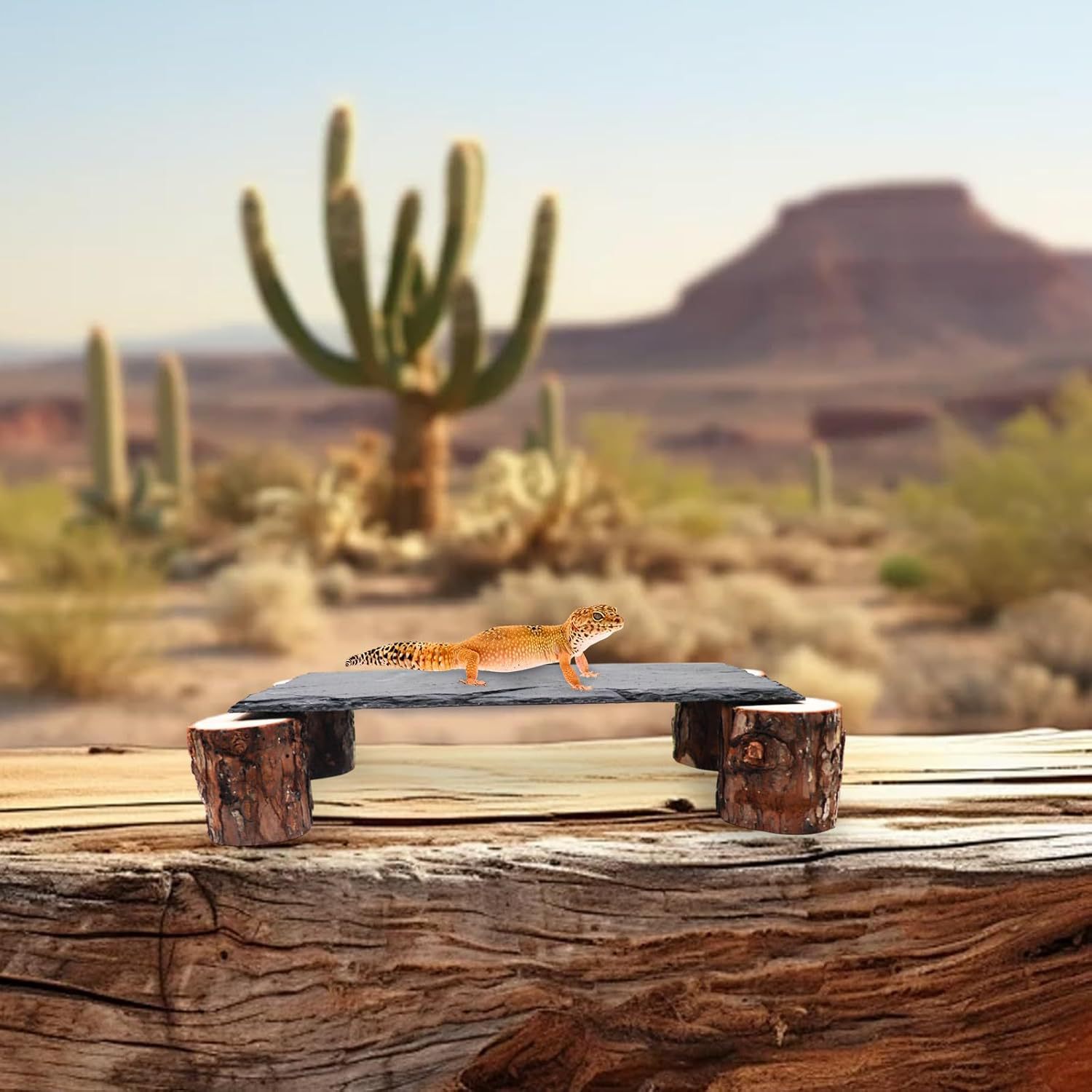Terrarium Landscaping Decorative Slate