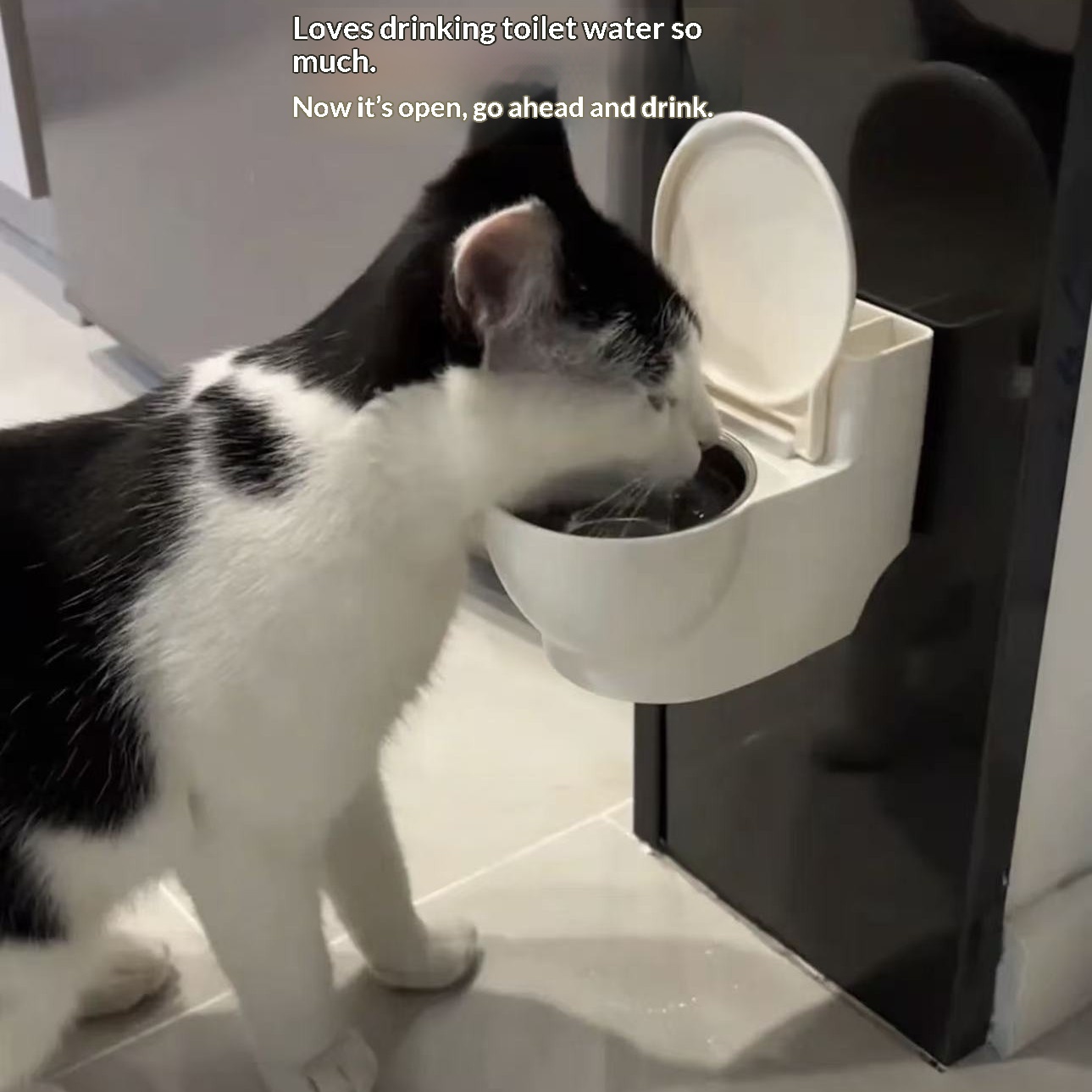 Pet Creative Toilet Water Dispenser - imagen 1