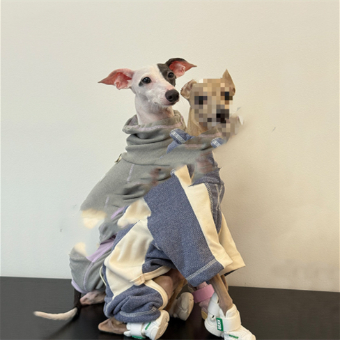 Dog Clothes AutumnWinter Thickened Warm Simple Apparel Sporty Style Four-Leg Base Layer - imagen 1