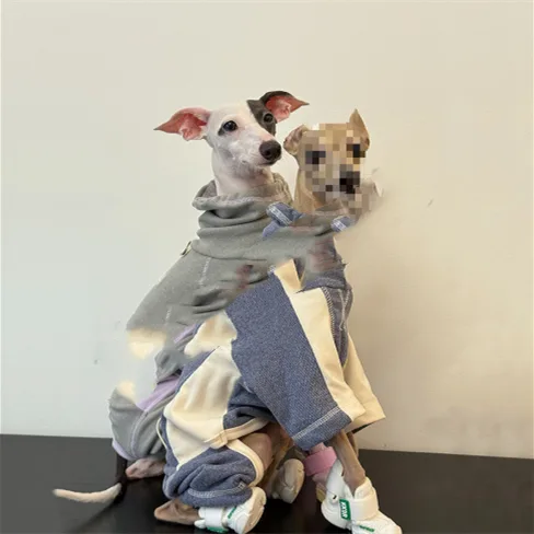 Dog Clothes AutumnWinter Thickened Warm Simple Apparel Sporty Style