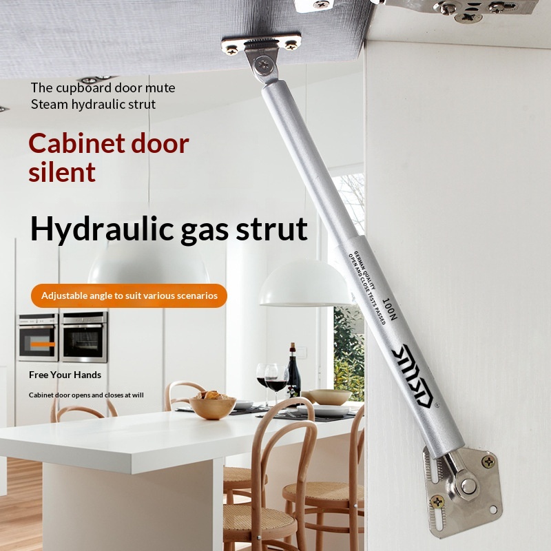 Ferrari Pneumatic Strut Cabinet Door