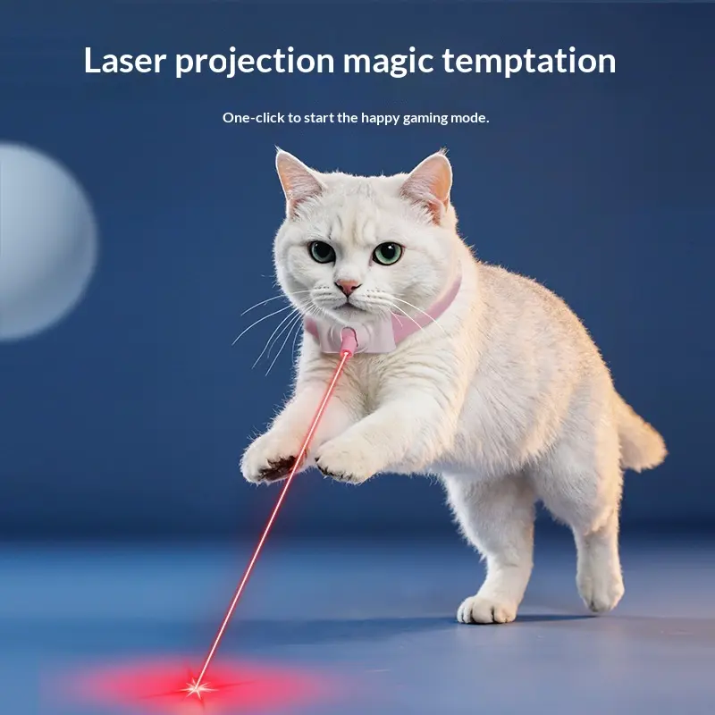 New Product Laser Pet Collar