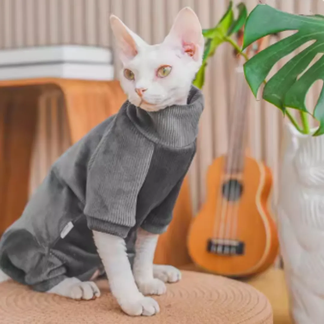 Thickened Fleece-lined Hairless Devon Cat Clothes, Warm