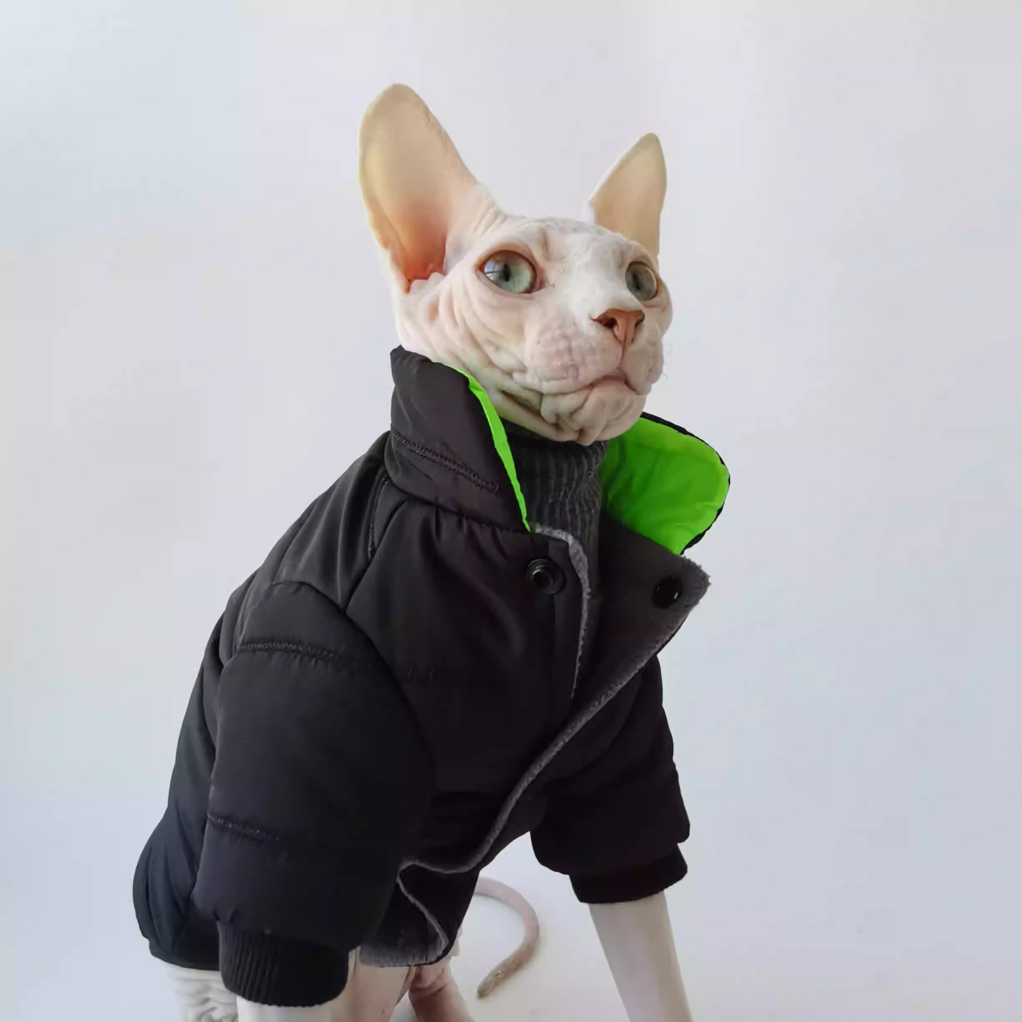 Thick Quilted Cotton Pet Coat