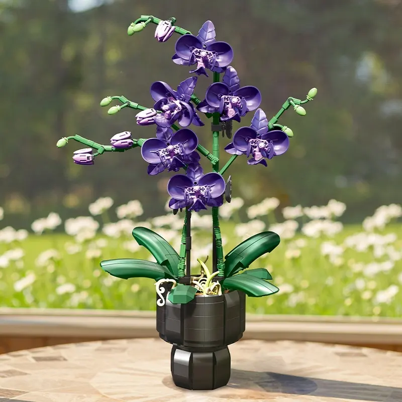 Moonlit Nights Blossoming Mornings A Romantic Flower-Themed