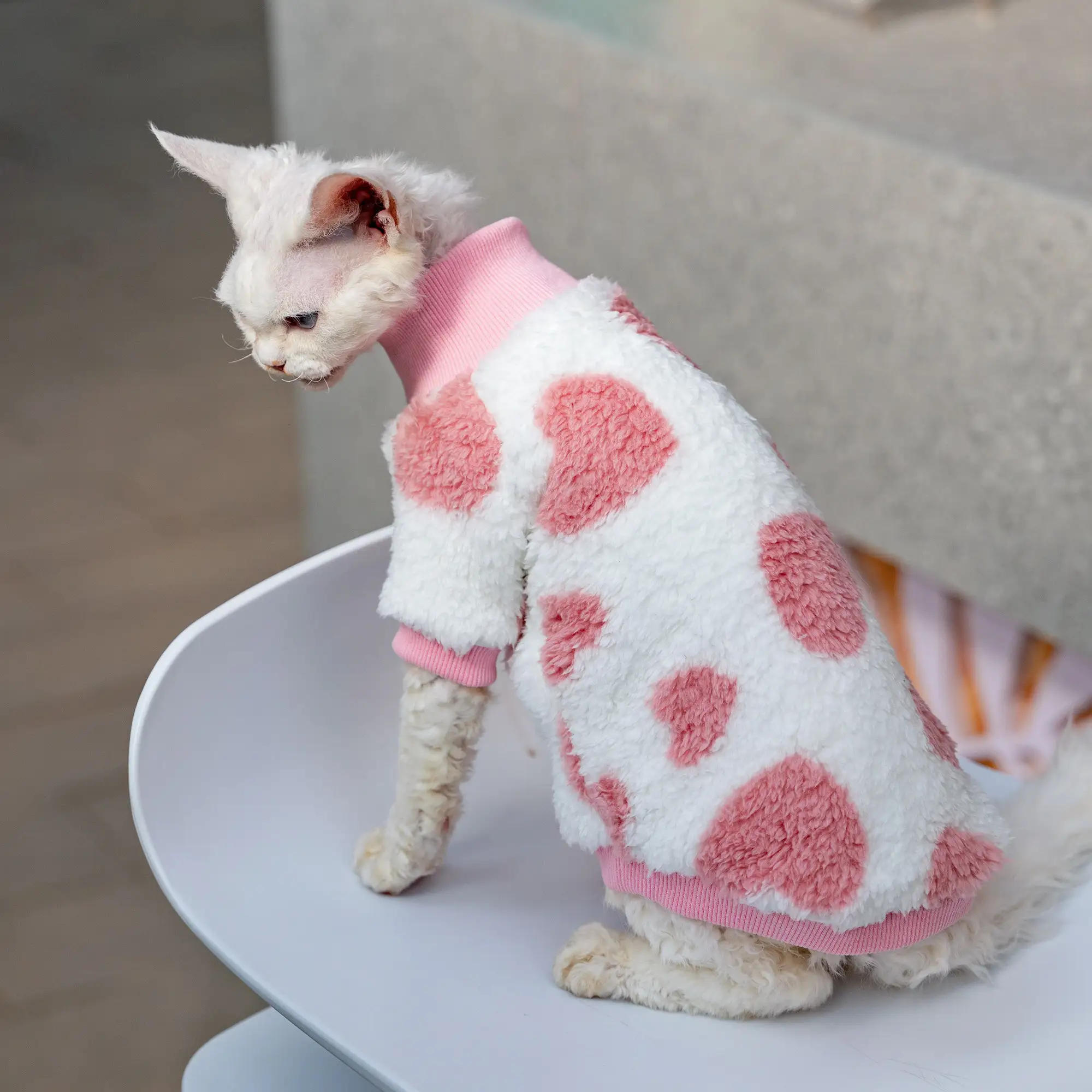 Warm Double-sided Fleece Cat Clothes