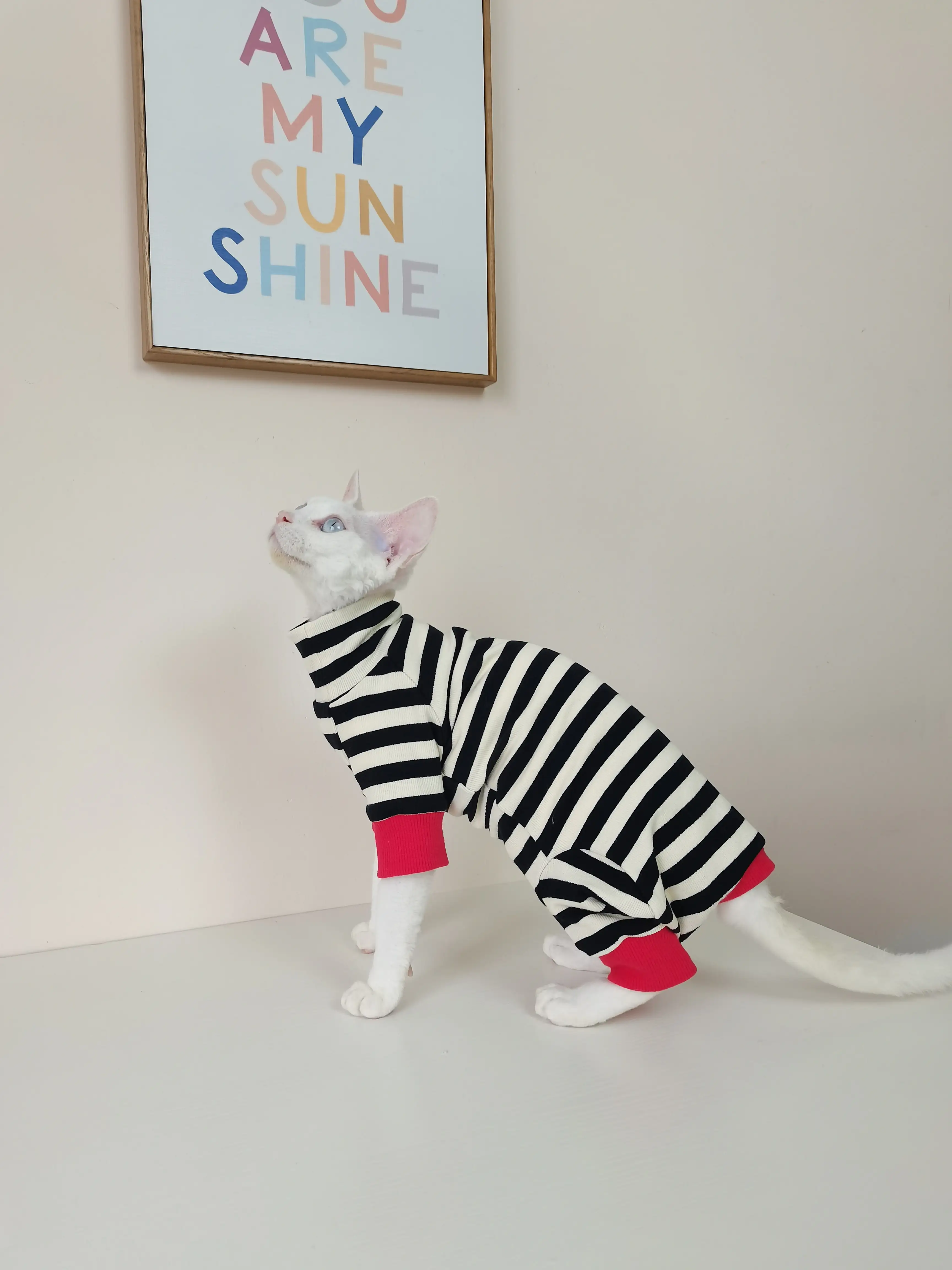 Belly-protecting Four-legged High-elasticity Fur-free Cat Clothing