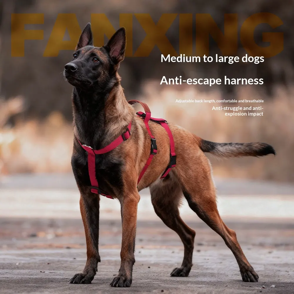 Dog Leash Anti-Pull Harness for Medium- to Large-Sized Dogs