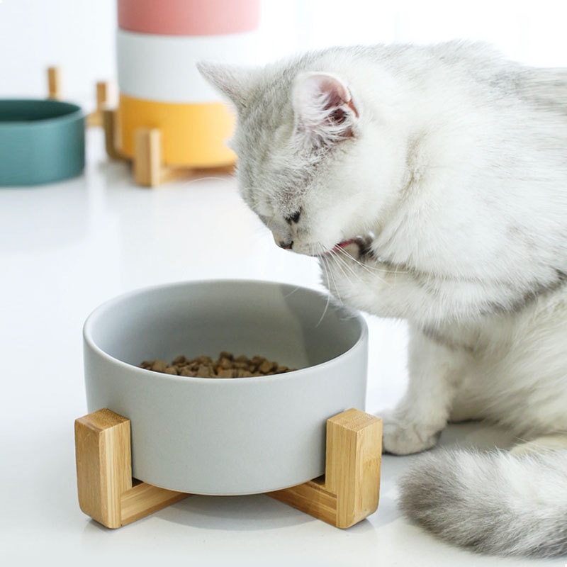 Solid Color Minimalist Home Use Ceramic Cat Food Feed Bowl
