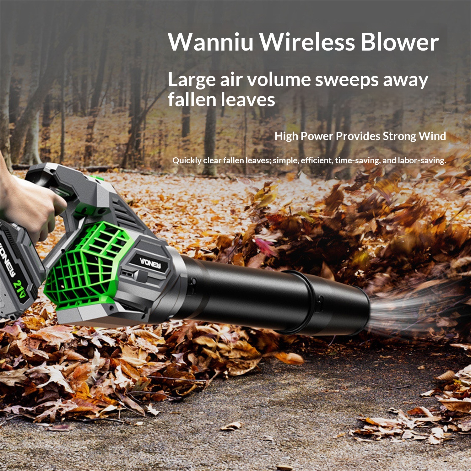 Industrial Dust-removing Lithium-ion Storm Machine