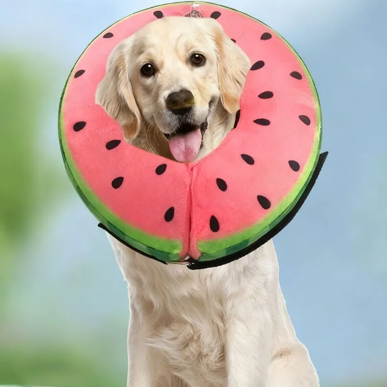 Pet Collar For Dogs To Prevent Licking