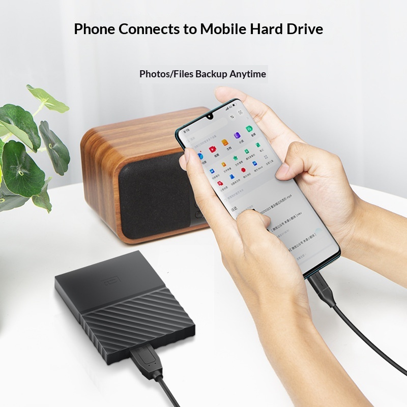 Hard Drive Data Cable USB 31 Type-C To Micro USB - Image 1