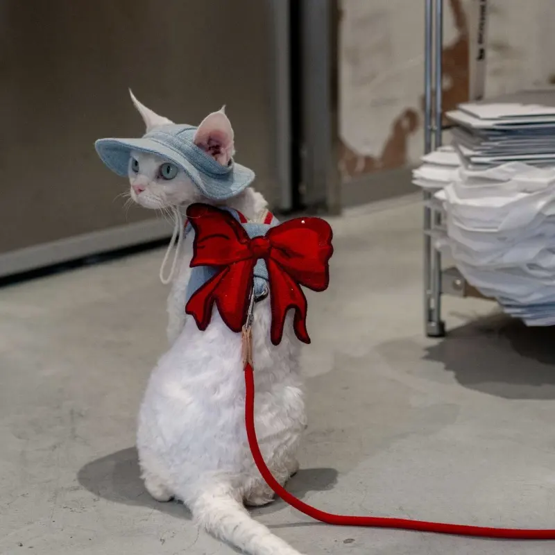Sphynx Cat Chest Harness