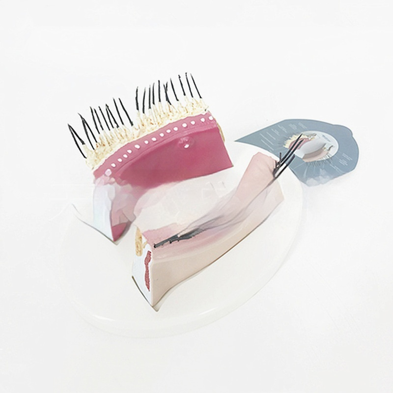 cd65844b-83bd-4775-bb8f-73efc2