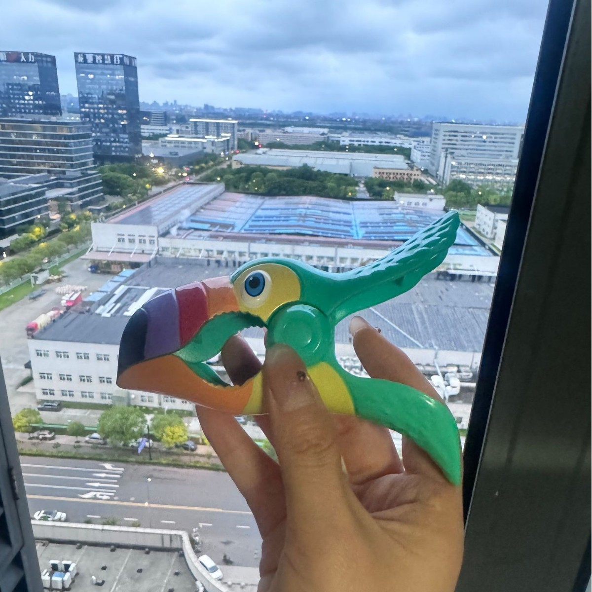 Big Billed Bird Plastic Beach Clip Outdoor Windproof Towel