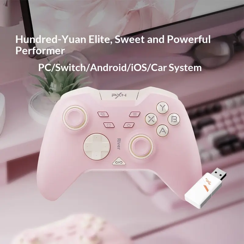 Lay'sda P5 Wireless Game Controller