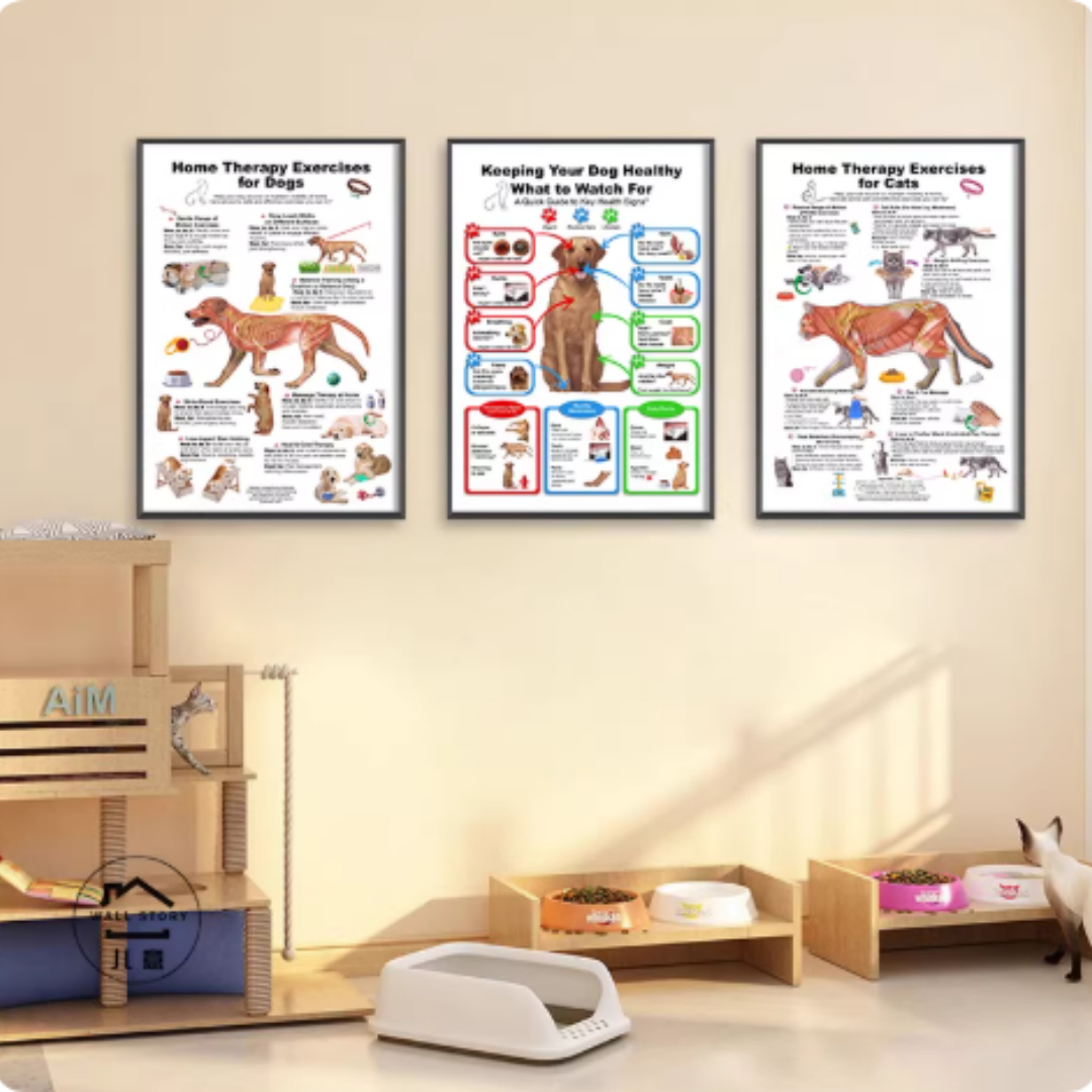 Cat And Dog Health Care Matters Hanging Pictures Veterinary Clinic Pets