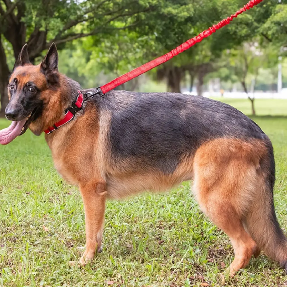 Tactical Dog CollarHarness Reflective Adjustable
