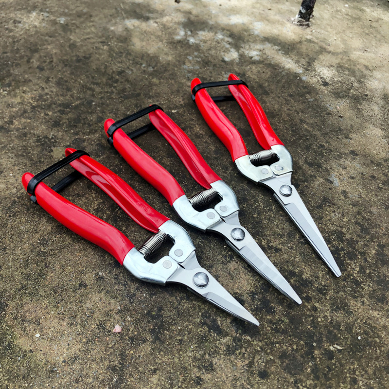 Grape Pruning Shears Gardening Fruit Harvesting