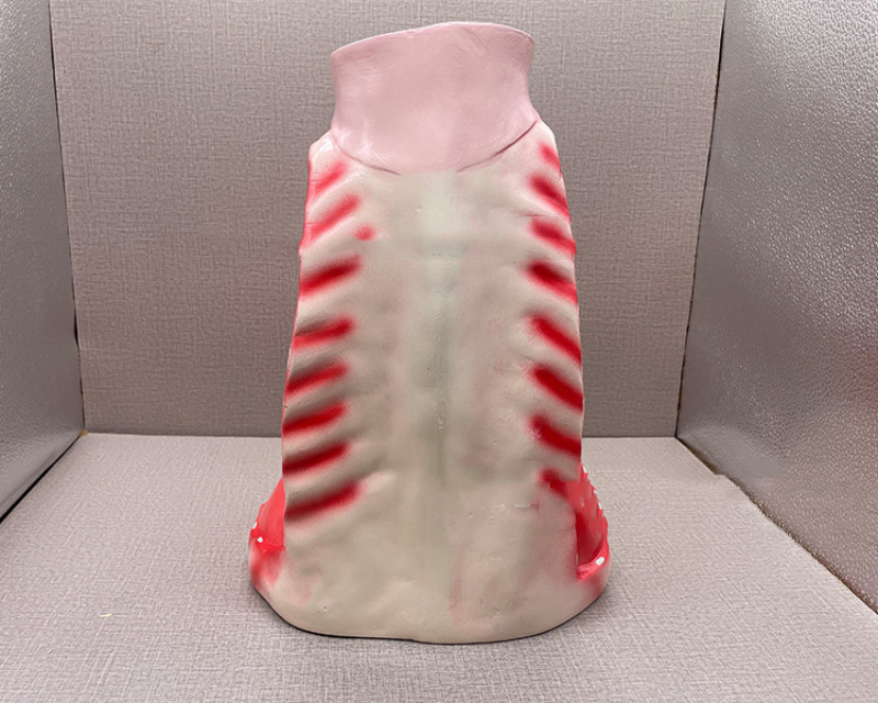 Mediastinum Anatomical Respiratory Teaching Aid Biological Teaching Model