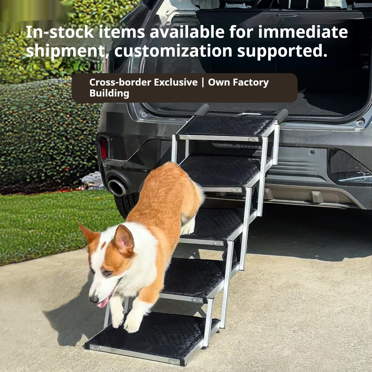 Portable SUV Car Step Metal Ladder