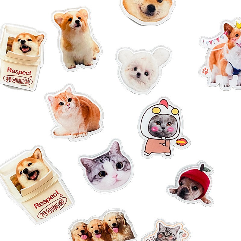 Acrylic Refrigerator Magnets With Magnetic Photos DIY