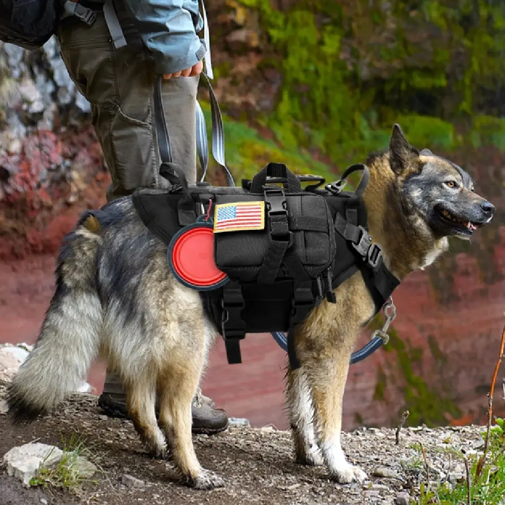 Fashionable And Personalized Padded Nylon Dog Vest