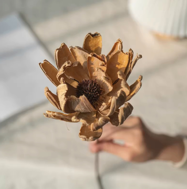 Dried Flower Stem Ornament, picture 3 of 4