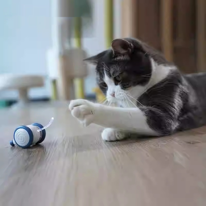 Smart Illuminating Electric Cat Toy Mouse