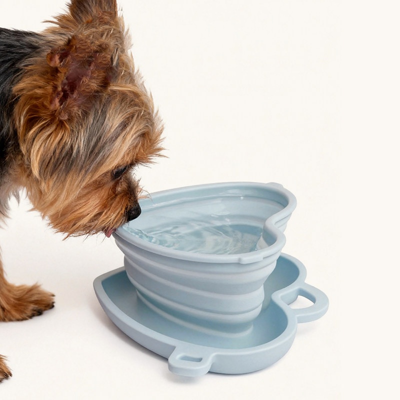 Pet Outdoor Bowl Portable Folding Silicone Bowl