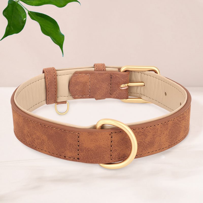 Creative And Versatile Double-layer Leather Pet Dog Collar