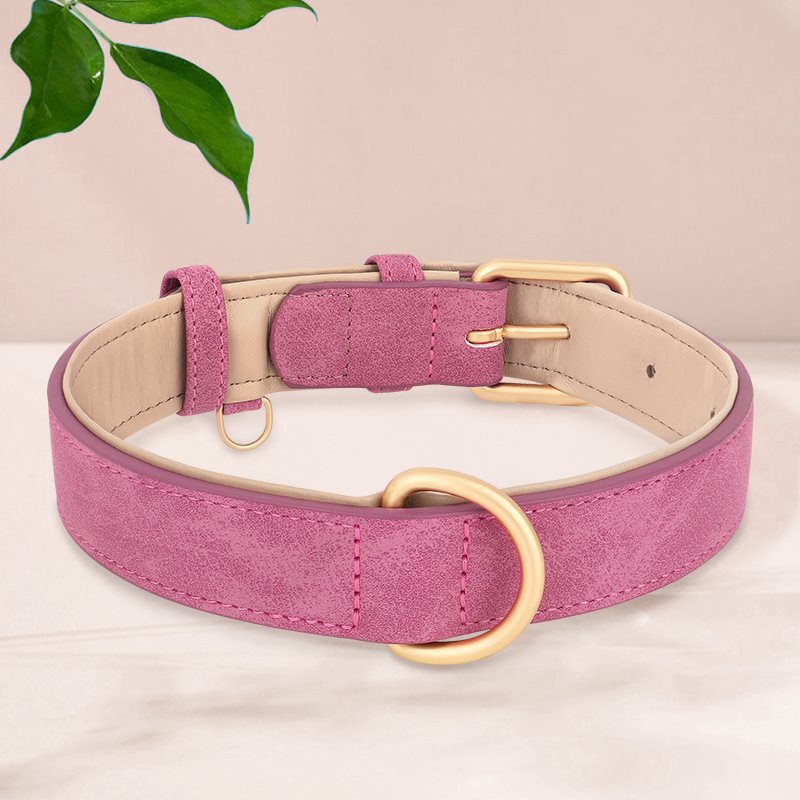 Creative And Versatile Double-layer Leather Pet Dog Collar