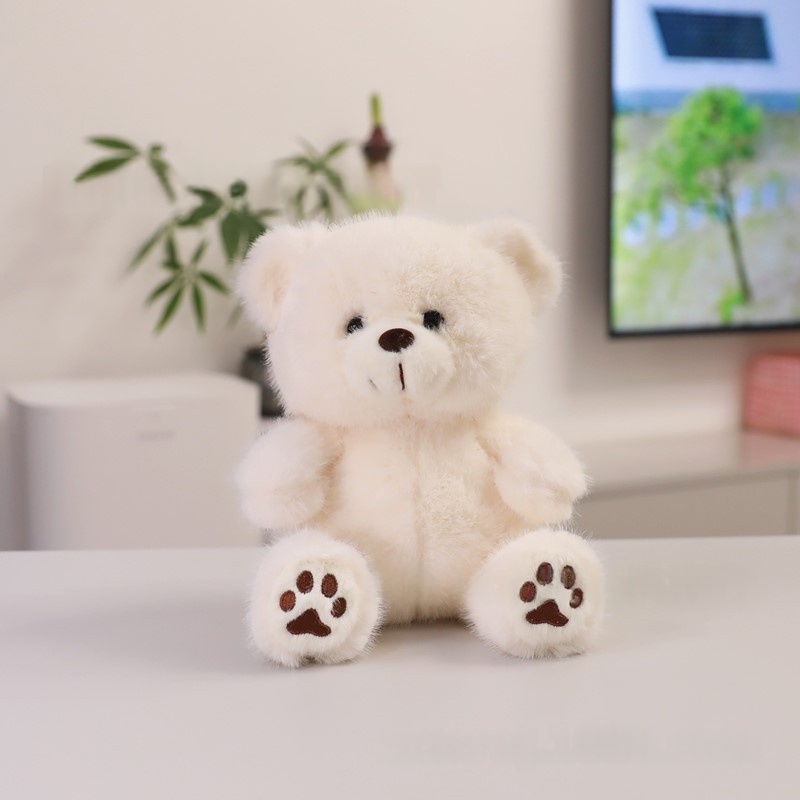 Cute Teddy Bear Plush Toy Wearing Clothes
