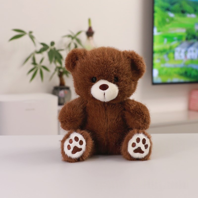 Cute Teddy Bear Plush Toy Wearing Clothes