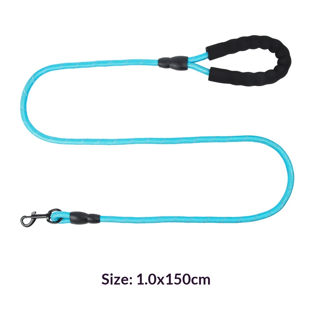 Explosion-Proof Reflective Pet Bungee Leash