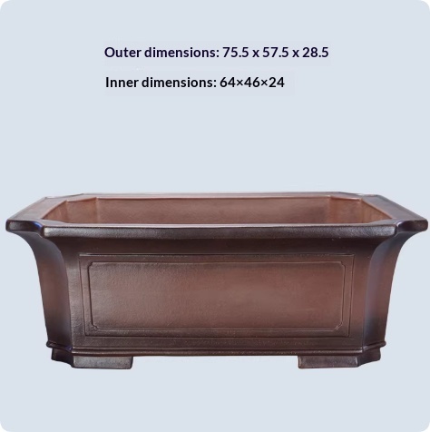 https://oss-cf.cjdropshipping.com/product/2026/04/09/12/b5e2a5a8-02b3-44ee-908a-24a195b09aa9_trans.jpeg