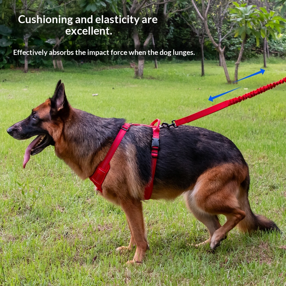 Laisse pour chien qui n'étouffe pas le maître pour les grands chiens