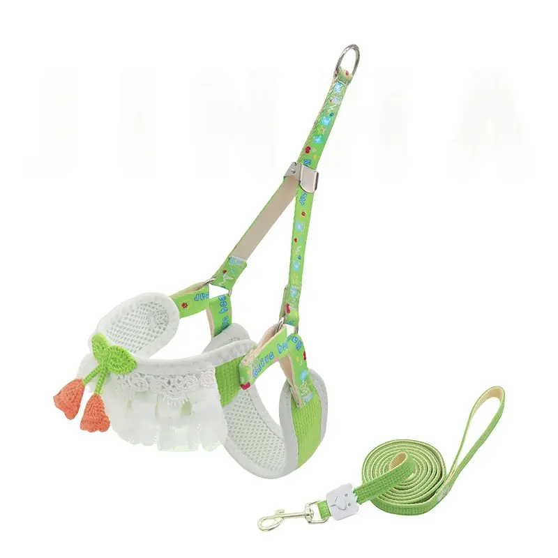 Dog Leash For Small Dogs Bichon Frise Teddy Pomeranian
