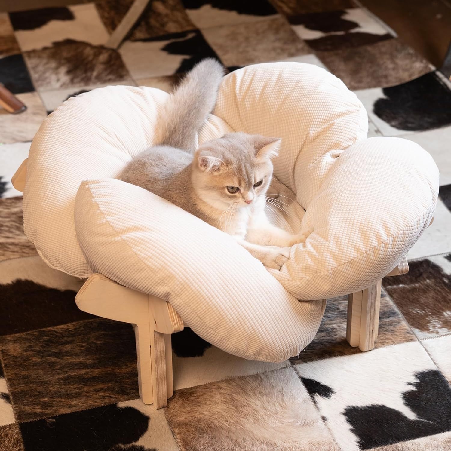 Fashionable All-Season Cat Bed For Indoor Use