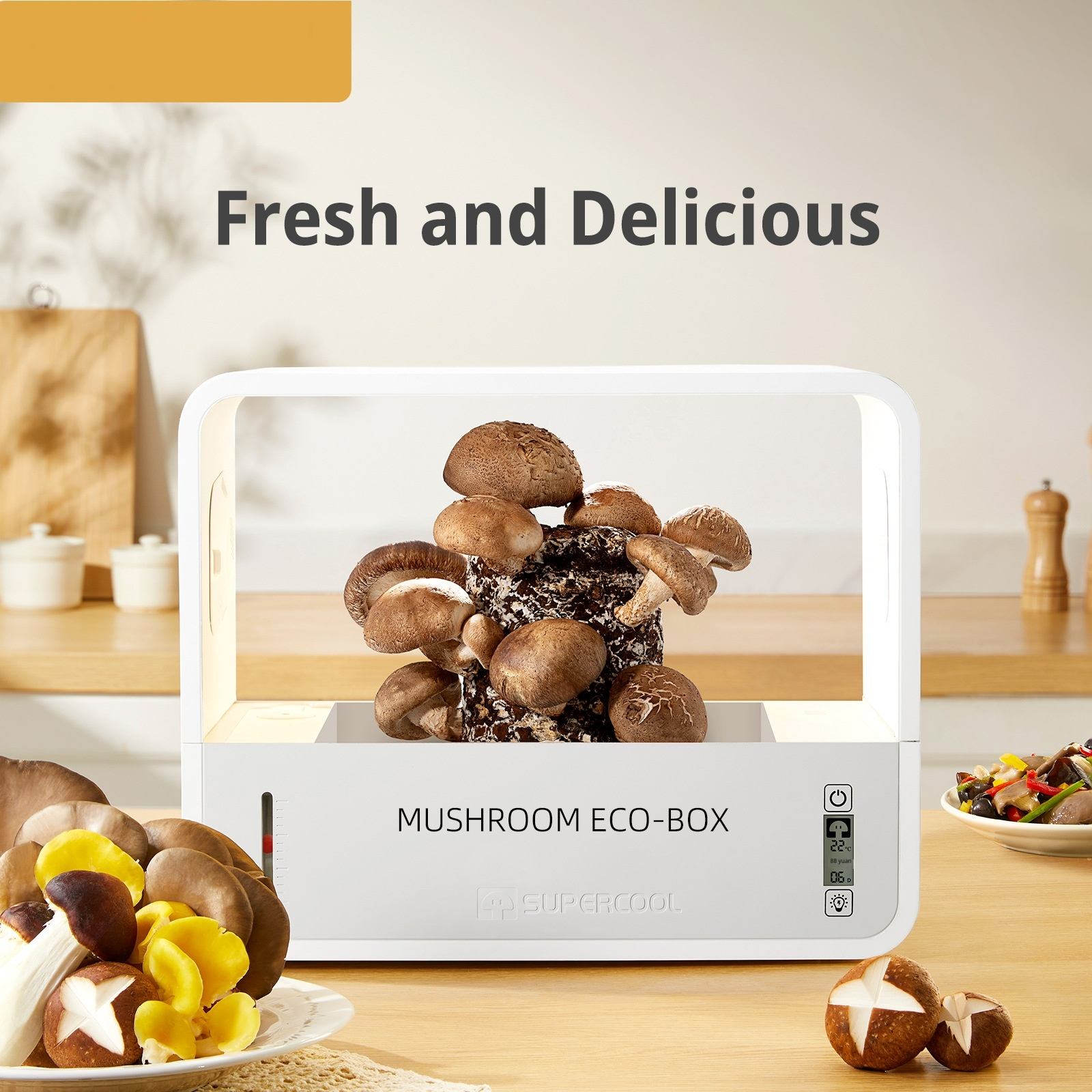 English-language Smart Mushroom Growing Machine