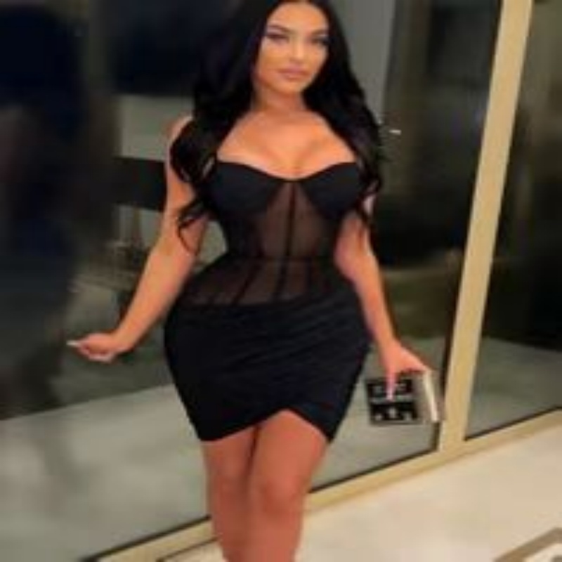 Women's Mesh Elegant Solid-Color Sheath Dress