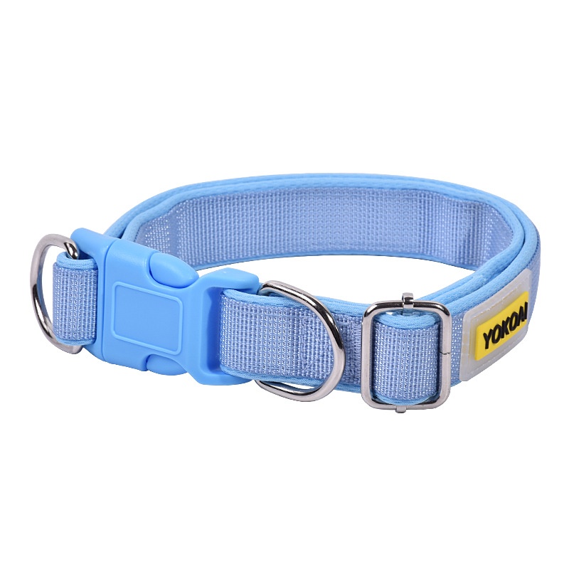 Collar básico para perro