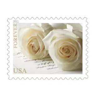 https://oss-cf.cjdropshipping.com/product/2026/04/18/02/75541590-e1f3-44f8-847e-6dac851951ee.jpg