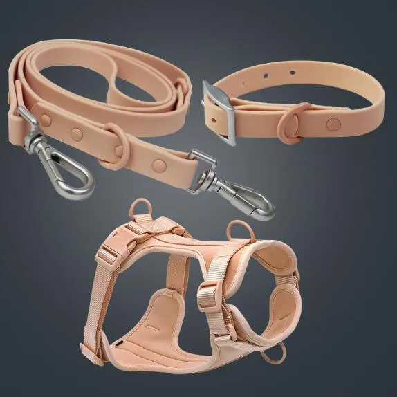 Pet Collar Anti-fouling Bite Dog Leash Set