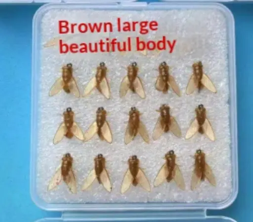 Lure Bionic Fly Hook Fly Fishing Tackle