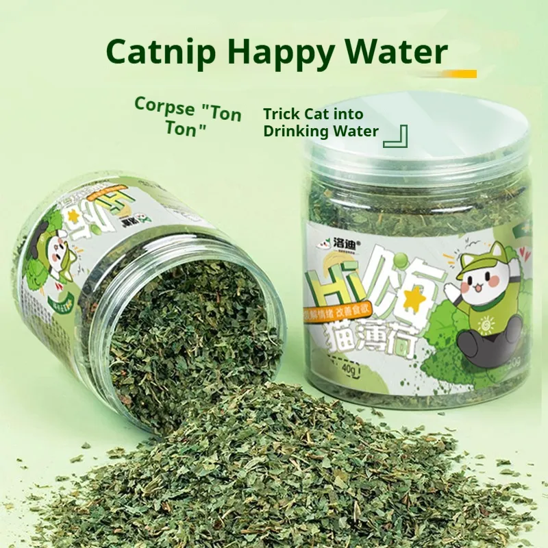 Catnip Cat Grass Leaves Treats Teaser Toy