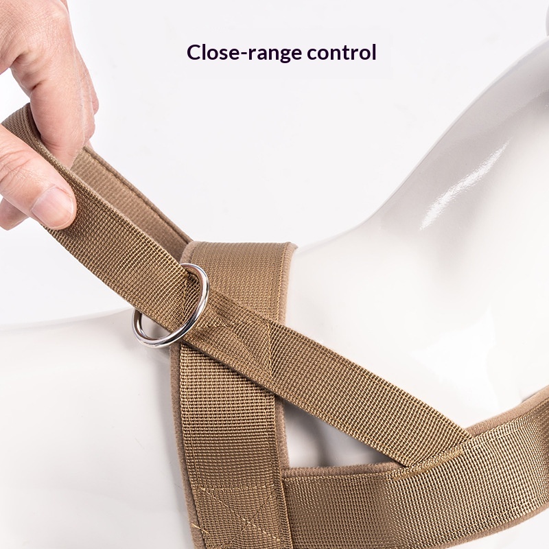 https://oss-cf.cjdropshipping.com/product/2026/04/23/05/43897fac-675f-4200-b508-19b62cf1331a_trans.jpeg