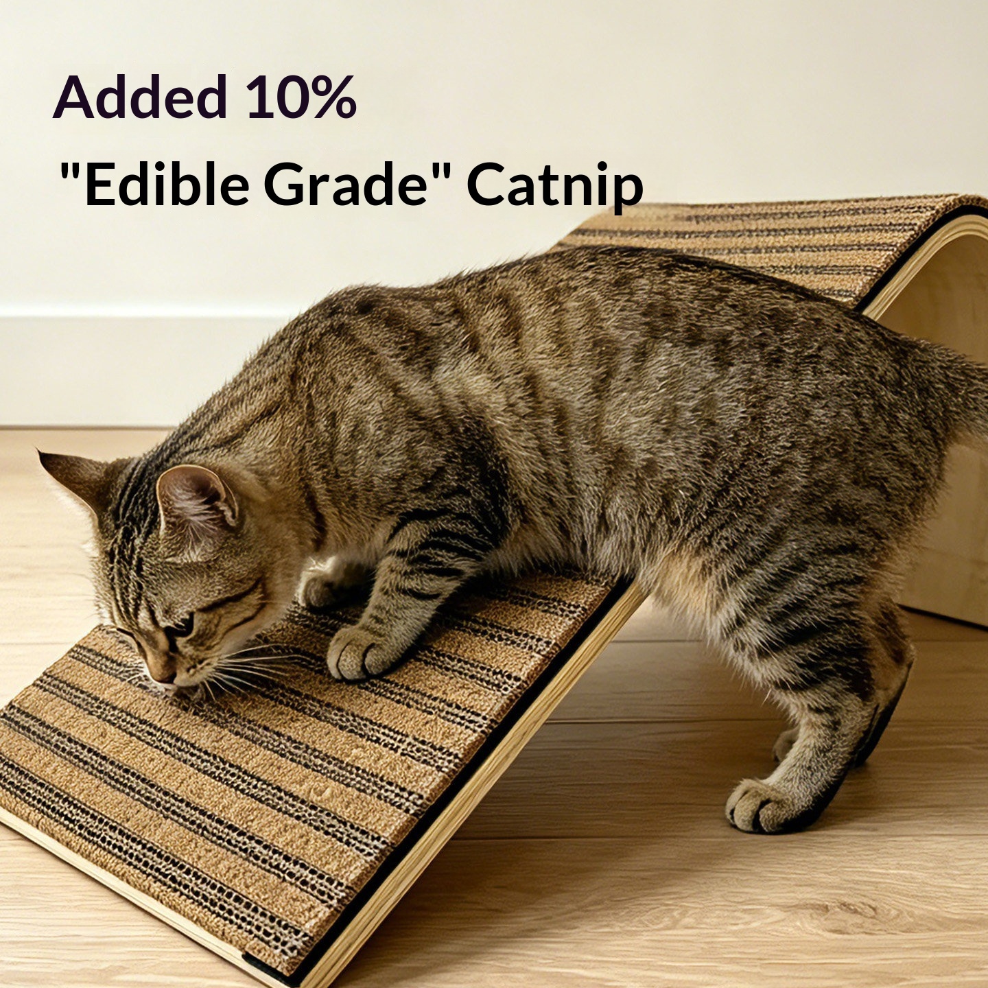 Vertical Sloped Wear-Resistant Cork Cat Scratcher