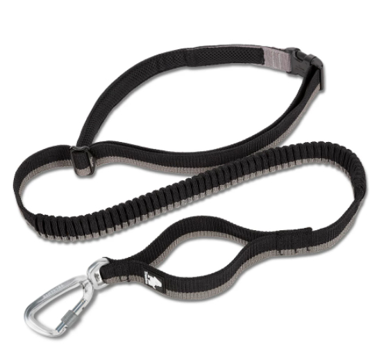 Pet Dog Leash With Elastic Suitable For Running And Outdoor Activities Can Be Attached To The Waist