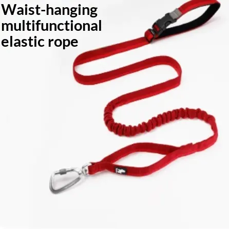 Pet Dog Leash With Elastic